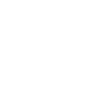 panel250